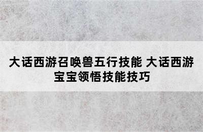 大话西游召唤兽五行技能 大话西游宝宝领悟技能技巧